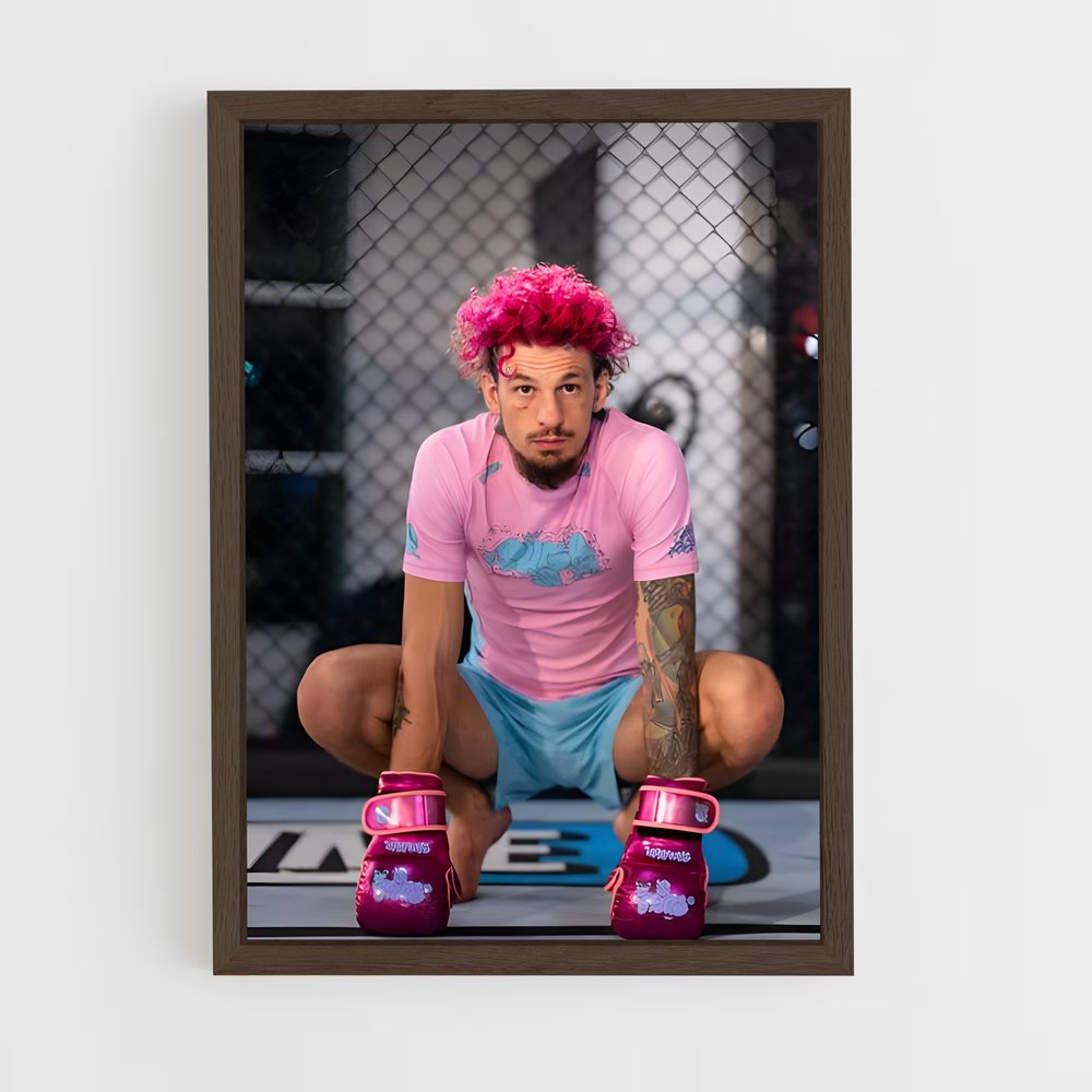 Poster Sean O'malley – affiche MMA (vue 5)